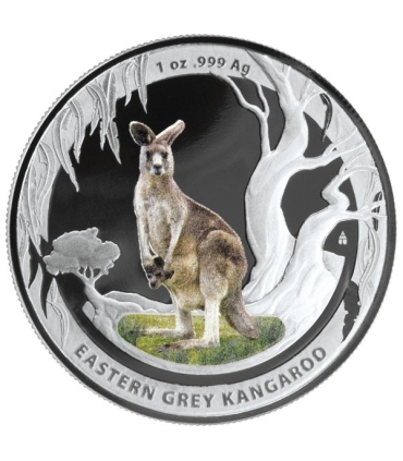 20 zł + 1$ Kangur – Walabia Bennetta/Kangur olbrzymi