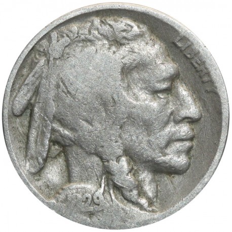 USA 5 centów głowa Indianina / bizon, 1929
