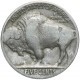 USA 5 centów głowa Indianina / bizon, 1929