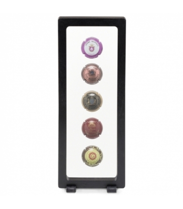 Prezentacyjne etui Magic na nietypowe kolekcje 207x65 mm