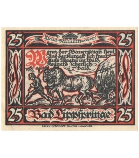 25 Pf banknot zastępczy Lippspringe 1921