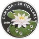 Kanada 20 dolarów, 2010 Dzikie kwiaty - lilia wodna, srebro Ag999