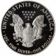 USA 1 dolar, 2008 Amerykański Orzeł, 1 Oz