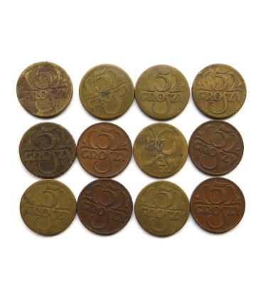 Zestaw 12 x 5 groszy II RP, różne roczniki