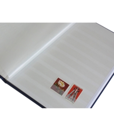 Klaser na znaczki Leuchtturm, 16 stron, zielony, BIAŁE karty