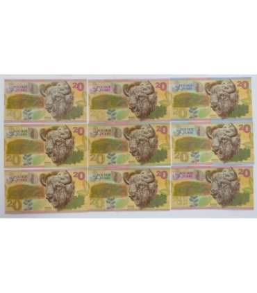 PWPW Żubry 9 szt. - Potęga Podłoża Angielski