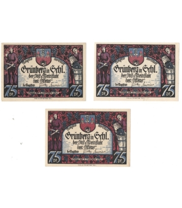 Banknoty zastępcze (notgeldy), Zielona Góra (Grünberg), 3 sztuki, 1921