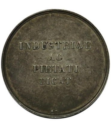 Medal pamiątkowy Zgorzelec, XIX wiek, srebro?