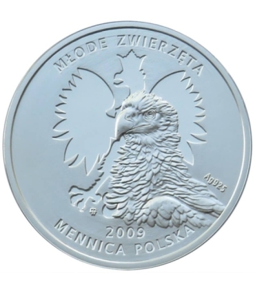 Młode zwierzęta NUMIZMAT JASZCZURKA - Mennica 5000 szt