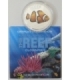 50 cents, Australia - Clownfish, 2010