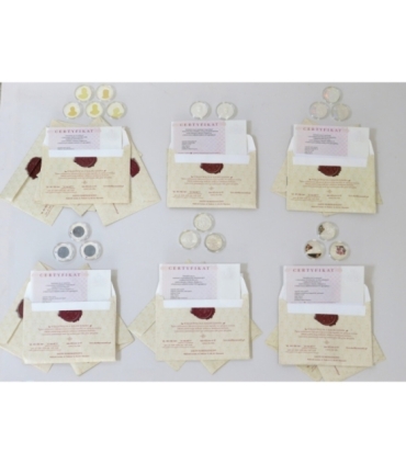 Zestaw 19 numizmatów sławni Polacy srebro Ag925 + certyfikaty