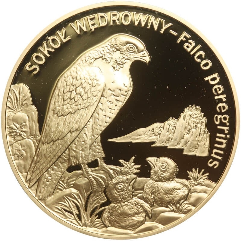 20 zł, Sokół wędrowny, 2008, PLATEROWANA, unikat
