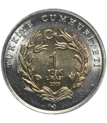 Turcja 1 lira, 2009 Żółw morski