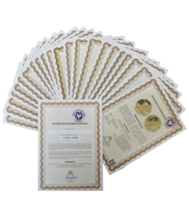 Zestaw 15 szt. medali - Polacy w II wojnie światowej + pudełko+ certyfikaty