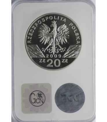 20 zł, Jaszczurka zielona - zwierzęta świata, GCN PR70