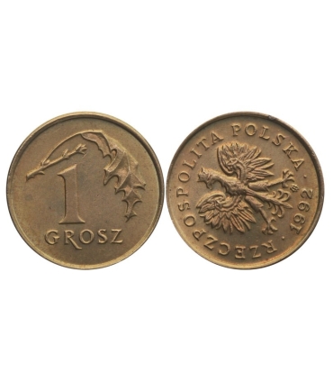 Destrukt, 1 grosz 1992, skrętka w lewo ~75 stopni, st. 1-