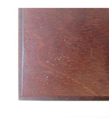 Kaseta do przechowywania monet srebrnych z roku 2009, UŻYWANA