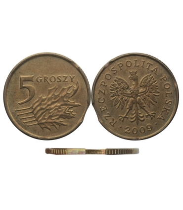 Destrukt, 5 groszy 2009, końcówka blachy, st. 1-