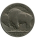 USA 5 centów głowa Indianina / bizon