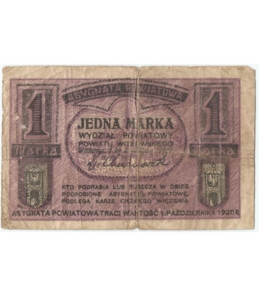 1 marka 1919, Gniezno i Witkowo, Wydział Powiatowy