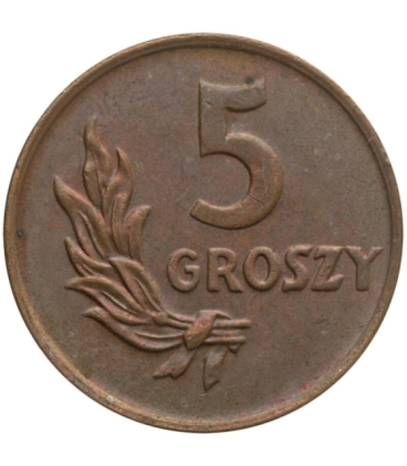 5 groszy 1949, brąz, mennicza stan 1/1-, piękna