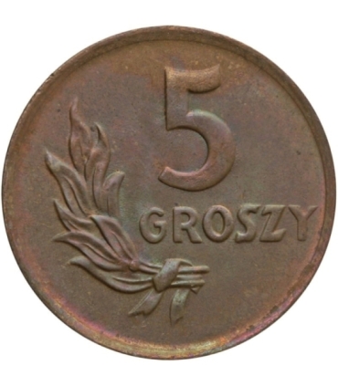 5 groszy 1949, brąz, mennicza stan 1, piękna