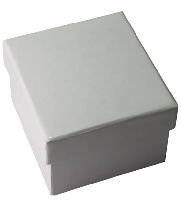 10 DOLARÓW - 2009 - SANKTUARIUM FATIMSKIE - SIERRA LEONE, srebro