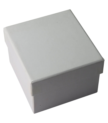 10 dolarów, Sierra Leone, Kaplica Łask w Altötting, 2010, srebro