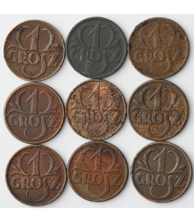 Lot: 9x1 grosz 2 rzeczpospolita, mix odmian i roczników w tym 1930