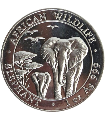 Somalia 100 szylingów, 2015 Fauna Afryki - słoń, Ag999, certyfikat