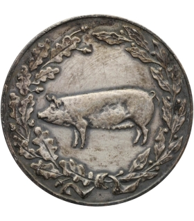 Medal Ministerstwa Rolnictwa – Za osiągnięcia w hodowli trzody chlewnej, wersja srebrzona