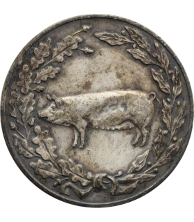 Medal Ministerstwa Rolnictwa – Za osiągnięcia w hodowli trzody chlewnej, wersja srebrzona