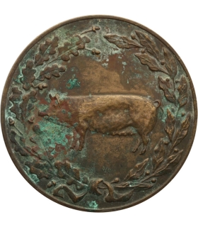 Medal Ministerstwa Rolnictwa – Za osiągnięcia w hodowli trzody chlewnej, wersja srebrzona