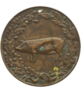 Medal Ministerstwa Rolnictwa – Za osiągnięcia w hodowli trzody chlewnej, wersja brązowa