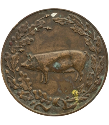 Medal Ministerstwa Rolnictwa – Za osiągnięcia w hodowli trzody chlewnej, wersja brązowa