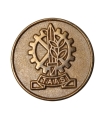 Pin Przypinka TAAS (Israel Military Industries – IMI), Po Generale