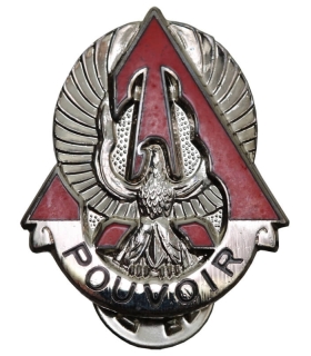 Odznaka US Army 227th Aviation Battalion (1st Cavalry Division) – „POUVOIR”, Po Generale