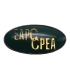 Wpinka (pin) EAPC / CPEA – Euro-Atlantic Partnership Council – po Generale