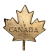 Kanadyjska wpinka (pin) – Liść Klonowy "CANADA" – po Generale